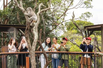 Taronga Zoo