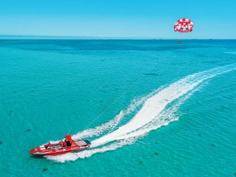 Parasail Whale Watching © Cicerello’s Jet Adventures