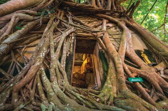 Samut Songkhram-Wat Bang Kung