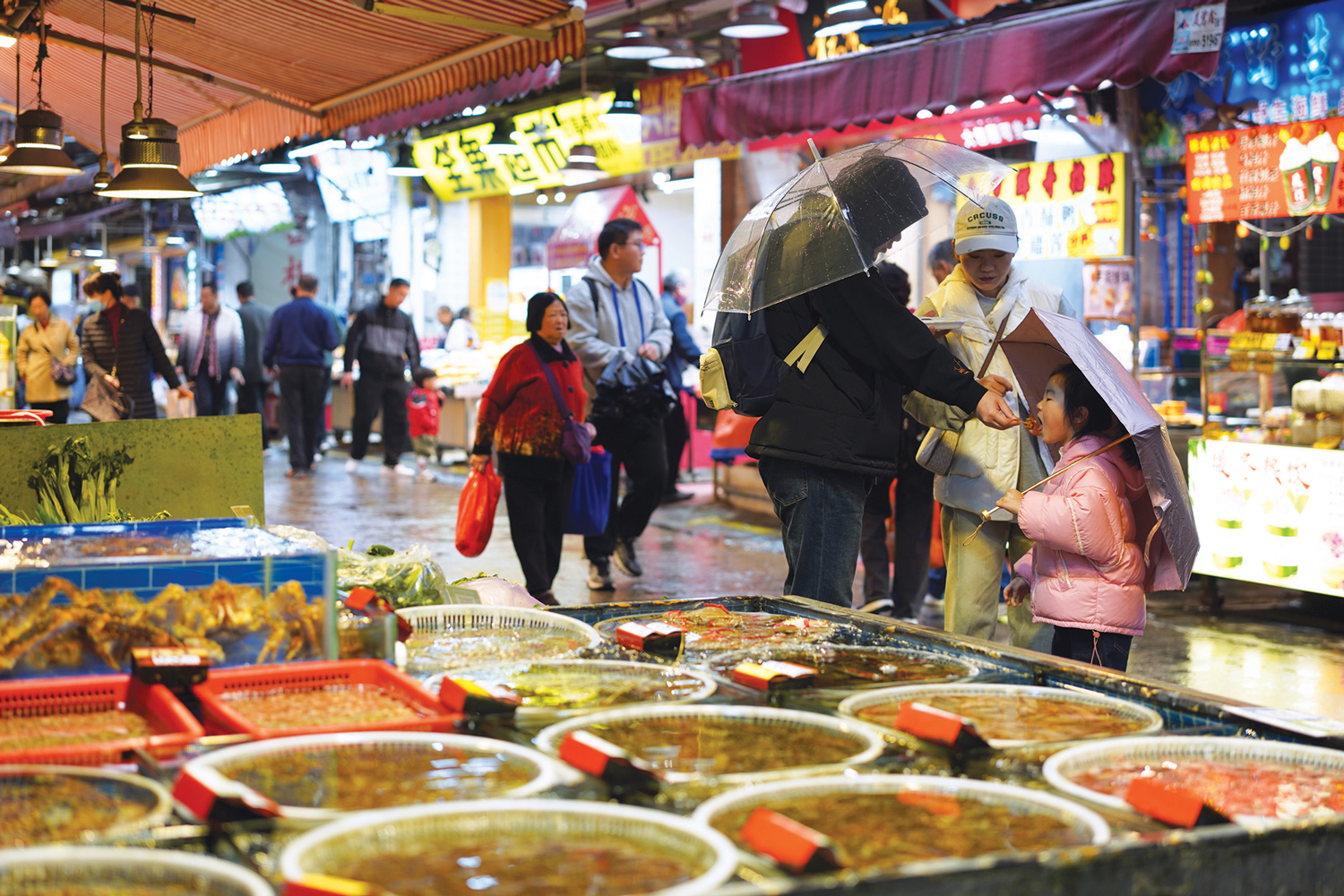 Savouring Freshness: Bashi Seafood Market