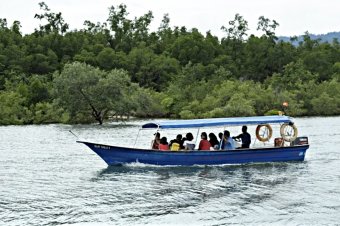 Mangrove Tour