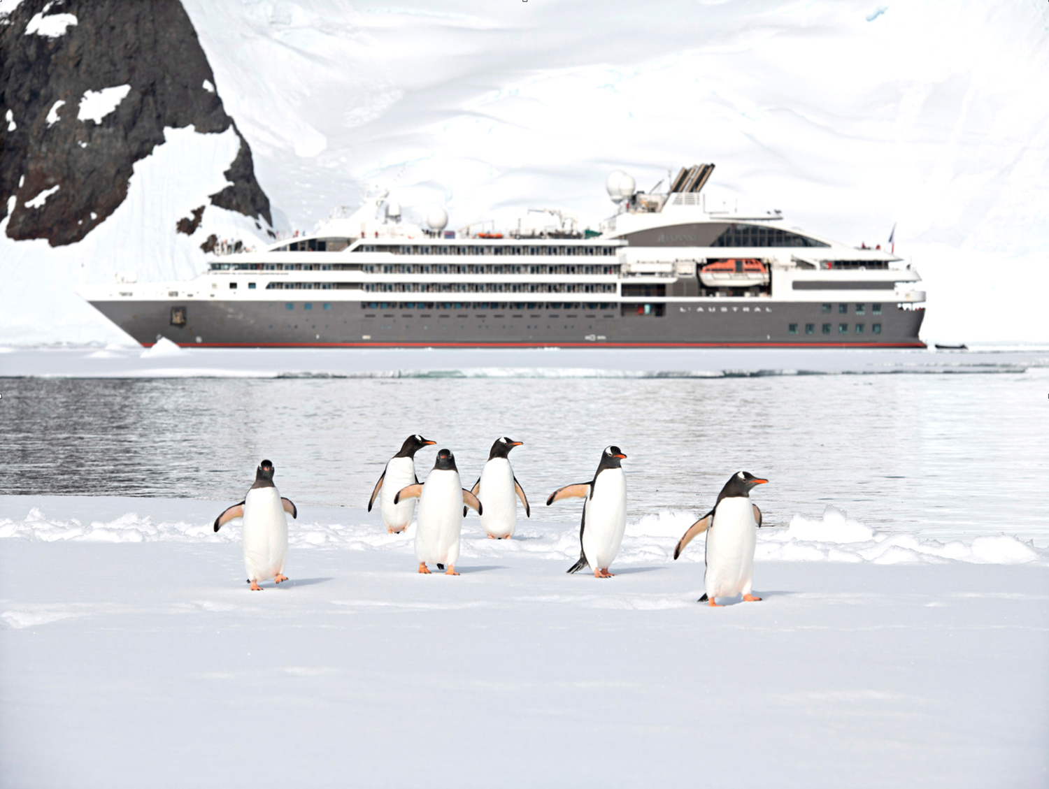 Polar Expedition Cruises – The Ultimate Adventure