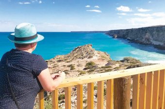 Whale watching at Head of Bight