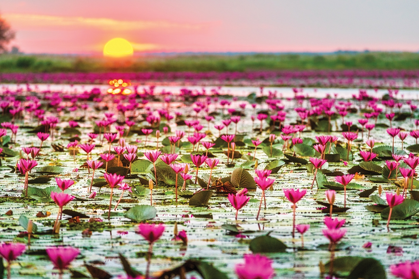 Udon Thani - Thale Bua Daeng (Red Lotus Sea)